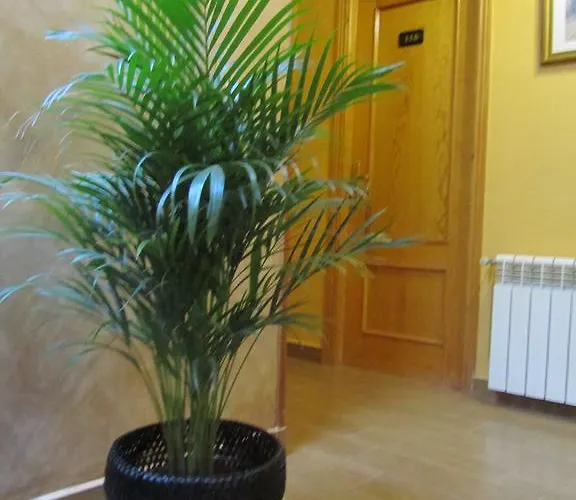 Puerta La 2* Tordesillas